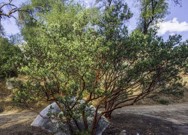 Property at 1 Cryer Road, Poppet Flats Rd, Banning, CA 92220