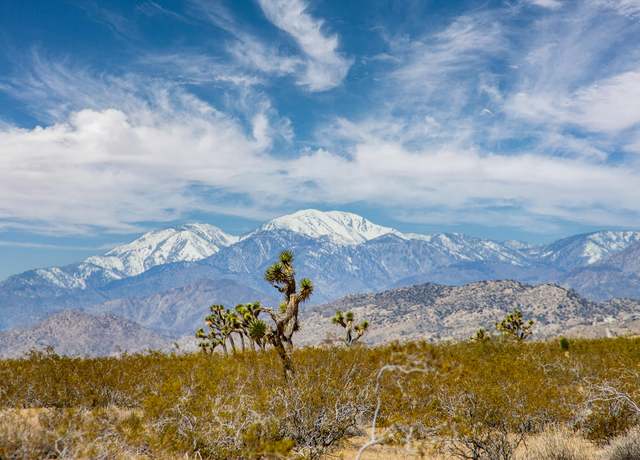 Property at 61155 Wilson St, Joshua Tree, CA 92252