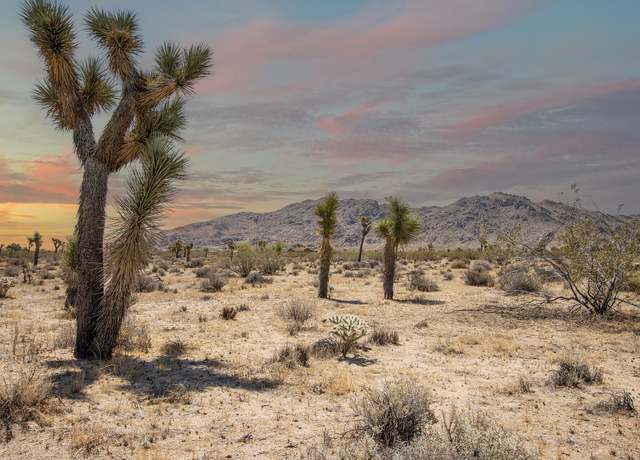 Property at 125 Drexel Rd, Joshua Tree, CA 92252