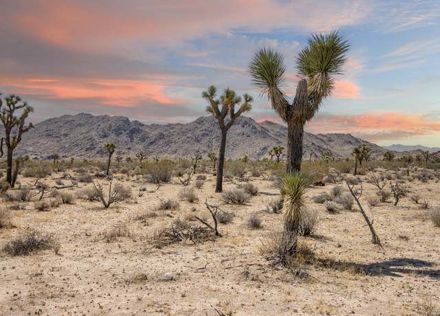 Property at 124 Drexel Rd, Joshua Tree, CA 92252