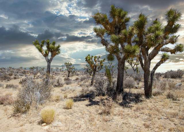Property at 112 Angel View Rd, Pioneertown, CA 92268