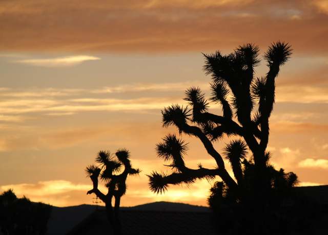 Property at 5 Acres Sunnyslope Dr, Joshua Tree, CA 92252