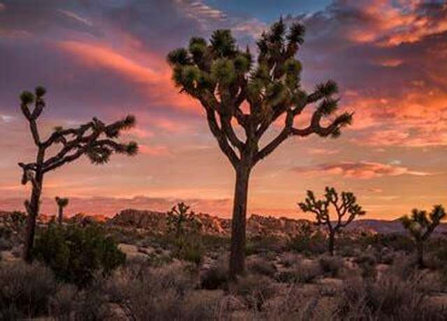 Property at Na Joshua Tree Hwy 62, Joshua Tree, CA 92252
