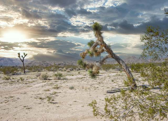 Property at 4605 Border Ave, Joshua Tree, CA 92252