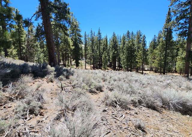 Property at 140 Olympic Dr, Big Bear Lake, CA 92315