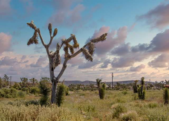 Property at 129 Annie Oakley, Pioneertown, CA 92268