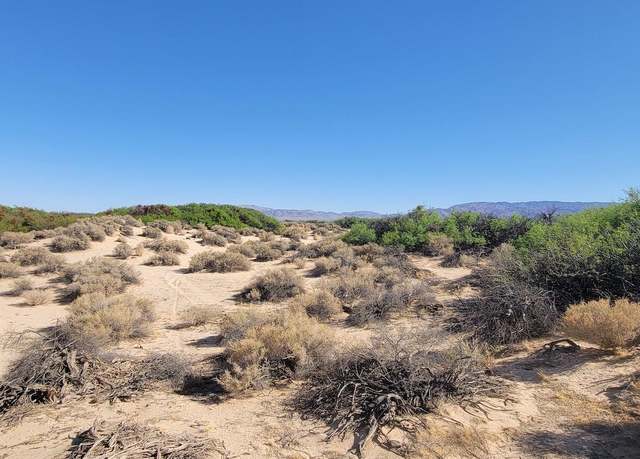 Property at 1655 La Buena Tierra Ave, 29 Palms, CA 92277