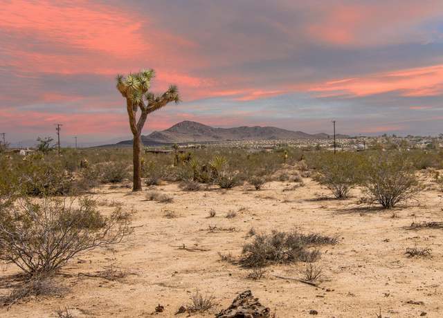Property at 401 Stonehill Ave, Joshua Tree, CA 92252