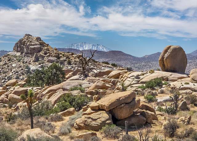 Property at 101 Hondo St, Pioneertown, CA 92268