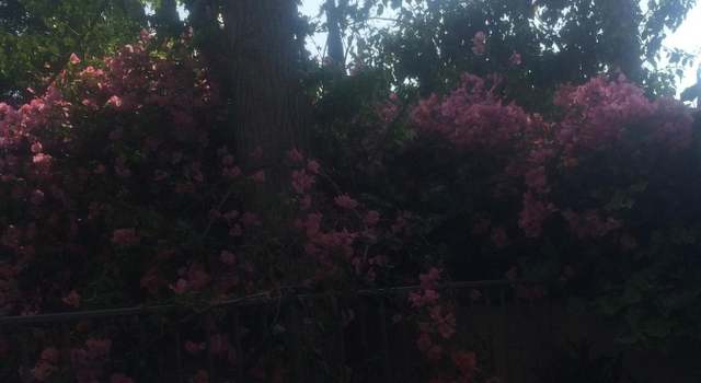 Photo of 1351 N Orange Dr #115, Hollywood, CA 90028