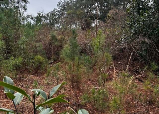Property at 4 Acres E Oglethorpe Hwy, Midway, GA 31320