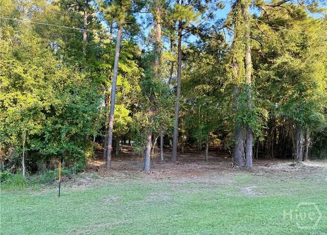 Property at 0 Friendship Rd, Sylvania, GA 30467