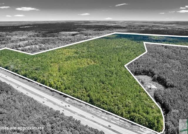 Property at 262.44 AC Leroy Coffer Hwy, Fleming, GA 31309