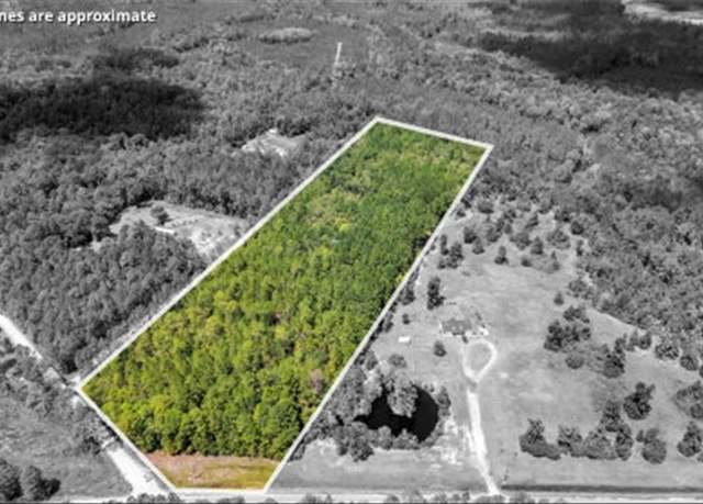 Property at 15.5 AC Elim Church Rd. Rd, Ludowici, GA 31316