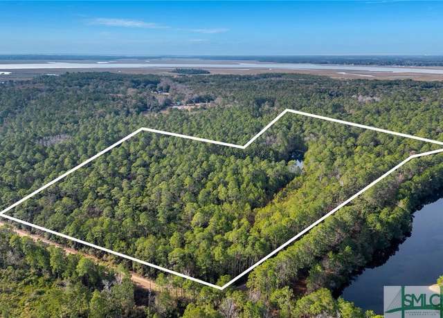 Property at 0 Steeple Chase Ln, Richmond Hill, GA 31324