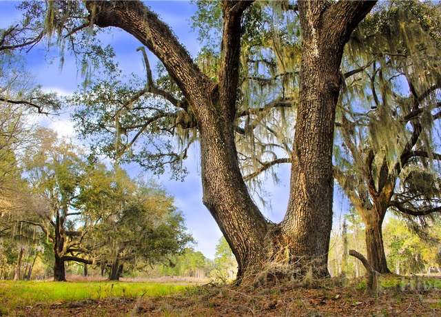 Property at 1 William's (36 Lots 95 Acres) Retreat, Savannah, GA 31419, 4 beds, 5.5 baths