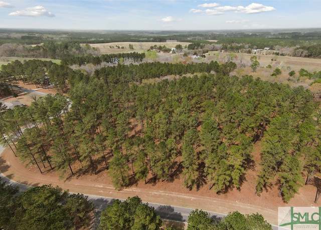 Property at 14 Pine Ridge Dr, Claxton, GA 30417