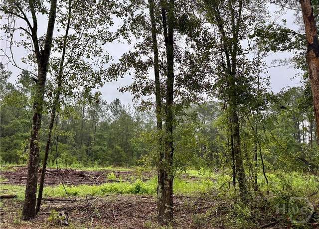 Property at 0 Ben Holland Rd, Claxton, GA 30417