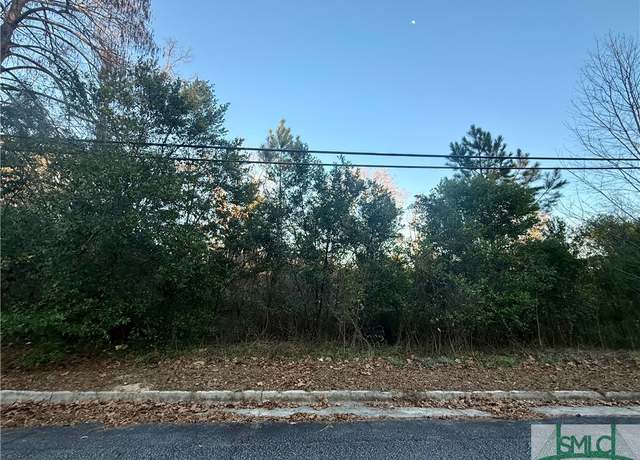 Property at 301 S Hull St, Sylvania, GA 30467
