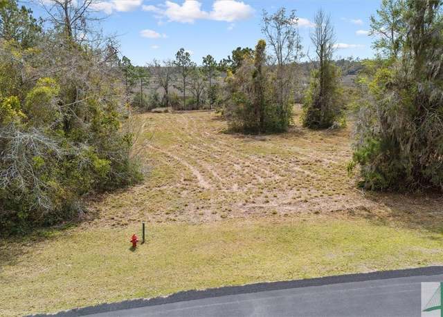 Property at Lot 31 Coopers Point Dr, Townsend, GA 31331