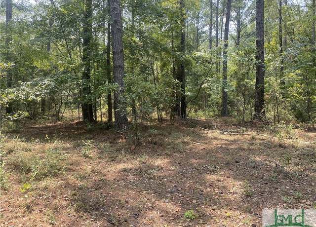 Property at 0 (Tract #1) Indigo Rd, Springfield, GA 31329
