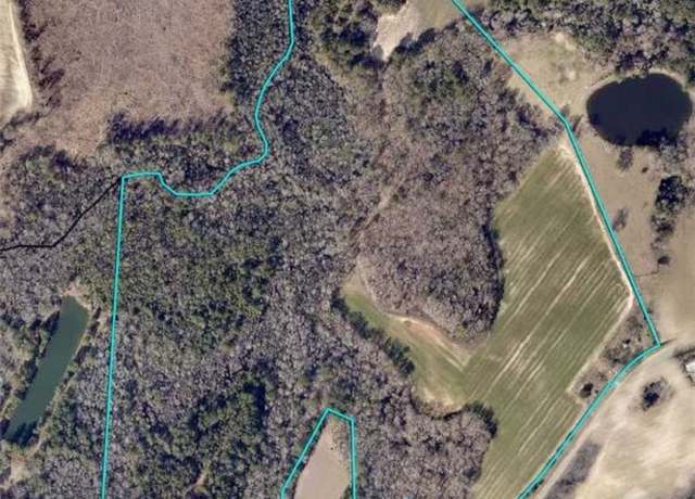 Property at 0 Two Chop Rd, Statesboro, GA 30461