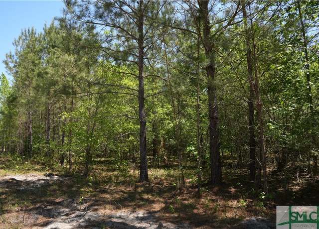 Property at 0 Clifton Rd Lot 1, Statesboro, GA 30458