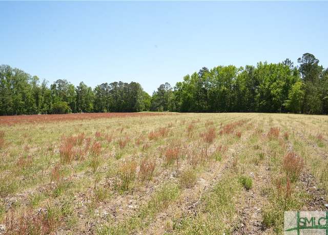 Property at 0 Clifton Rd Lot 2, Statesboro, GA 30458