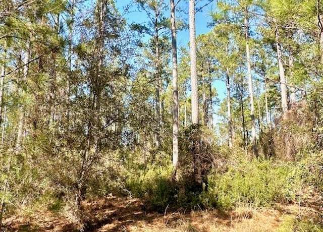 Property at 0 Marsh Way, Townsend, GA 31331