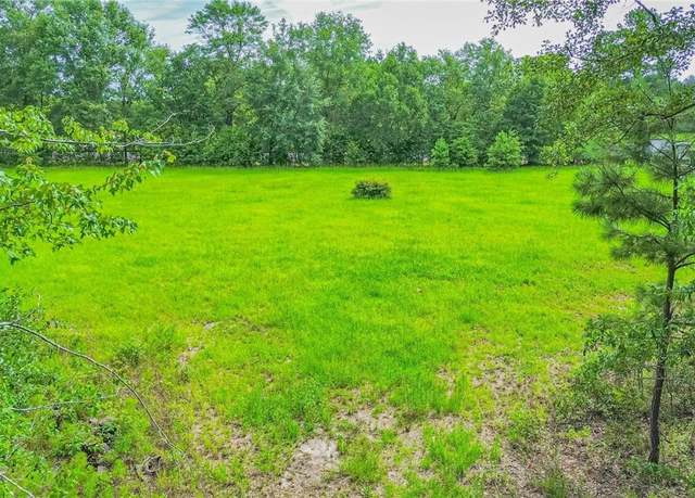 Property at 0 Springfield Egypt Rd, Springfield, GA 31329