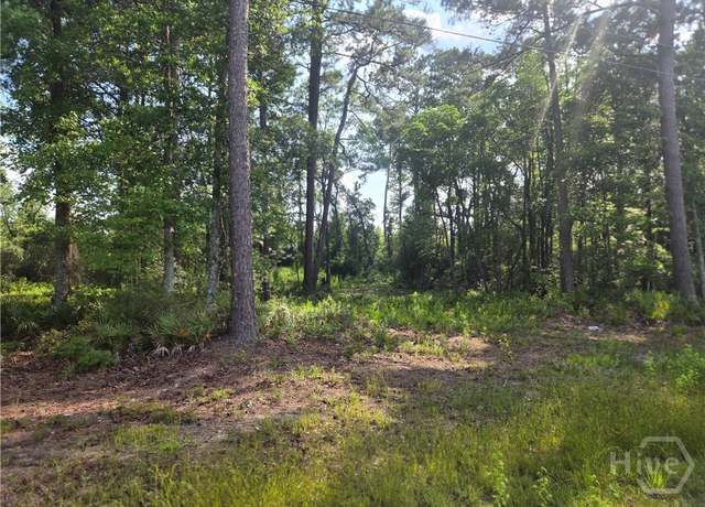 Property at 2.30 Ga-196 Hwy, Hinesville, GA 31313