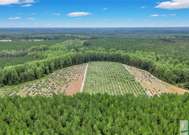 Property at 2437 Highway 121, Glennville, GA 30427, 3 beds, 2 baths