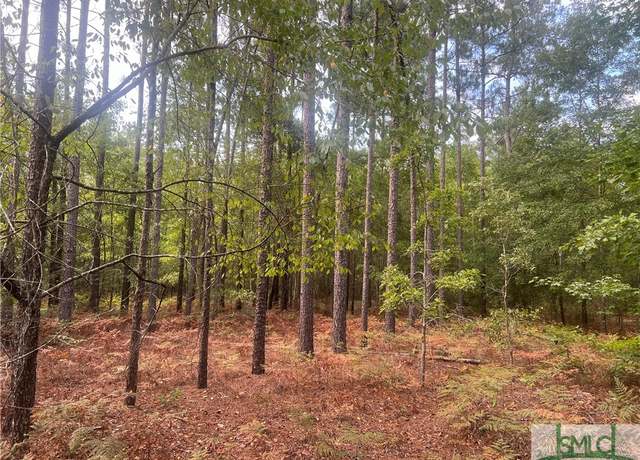 Property at 000 Scuffletown Rd Rd, Twin City, GA 30471