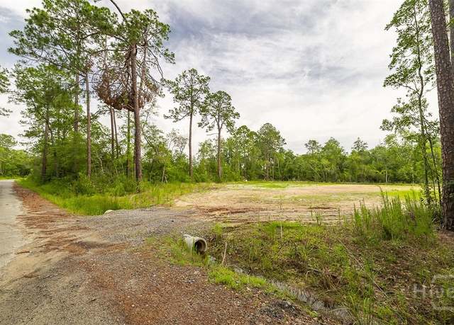 Property at 0 Zettler Rd, Springfield, GA 31329