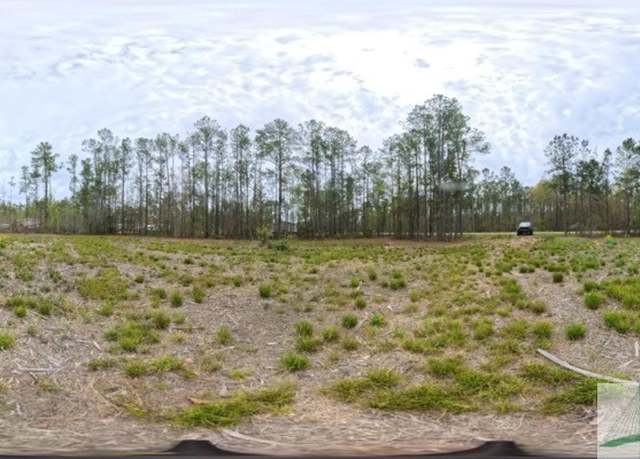 Property at Lot 11 Pate Rogers Rd, Fleming, GA 31309