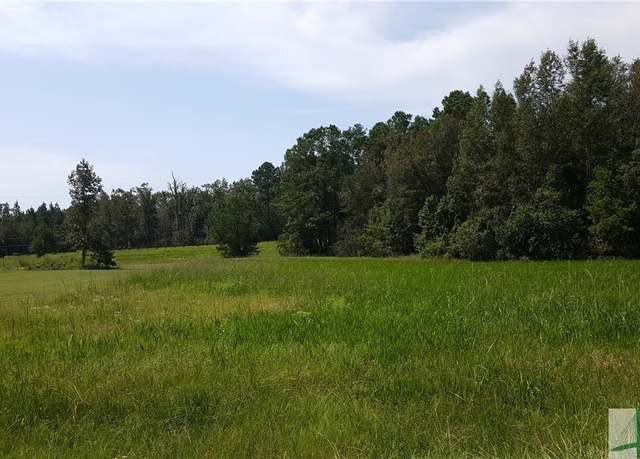 Property at lot 1 Frazier Dr, Riceboro, GA 31323