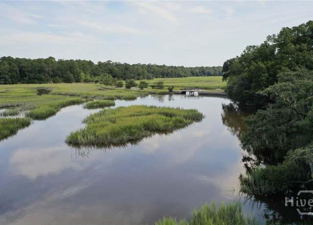 Property at 2061 Belle Island Rd, Richmond Hill, GA 31324