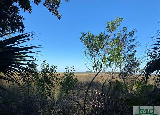 Property at 363 Coffee Bluff Villa Rd, Savannah, GA 31419