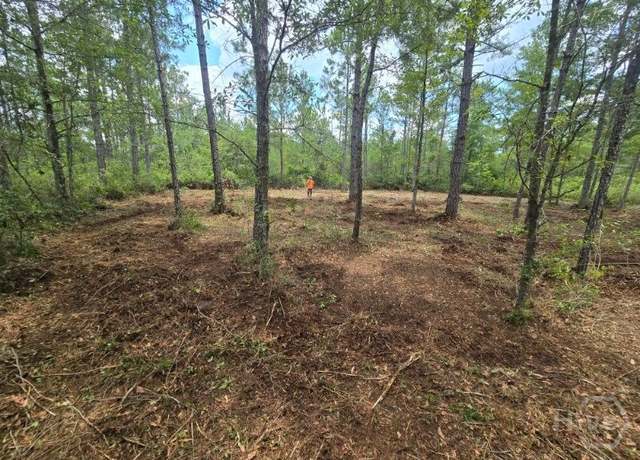 Property at 0 Savannah Town Rd, Springfield, GA 31329