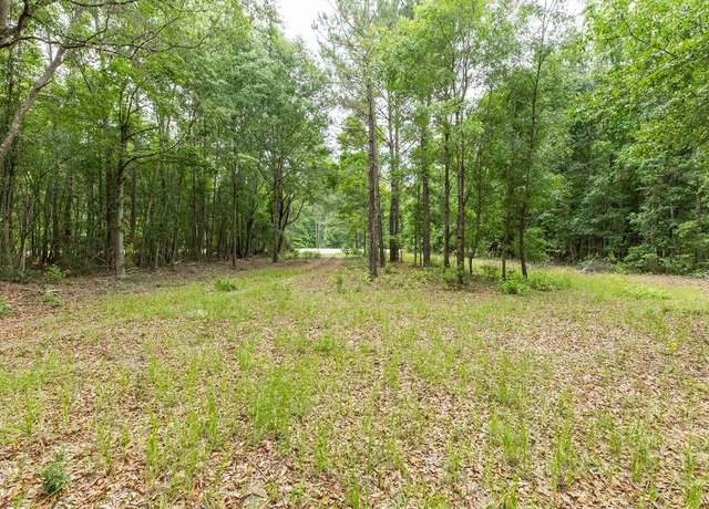 Property at 695 Log Landing Rd, Springfield, GA 31329