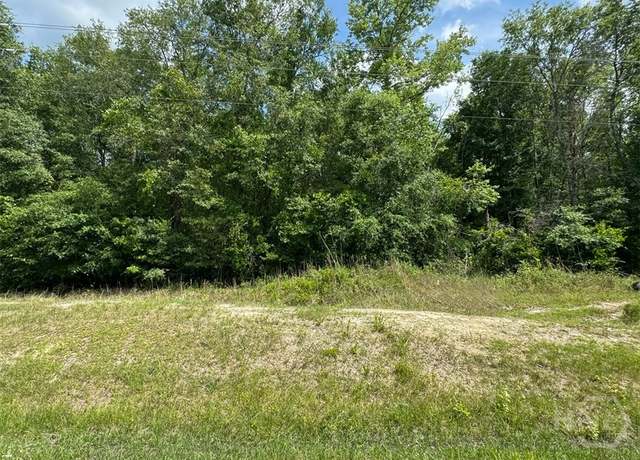 Property at 0 Reedsville Rd, Clyo, GA 31303
