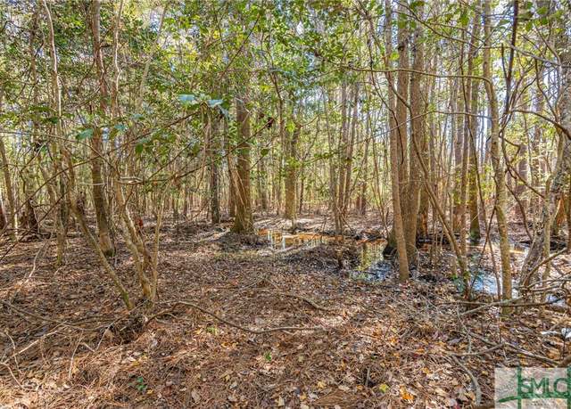 Property at 0 Ralph Rahn Rd, Rincon, GA 31326