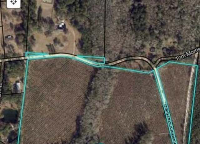 Property at 1 Bradwell Dunham Rd, Ludowici, GA 31316