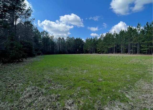 Property at 0 Fish Rd, Newington, GA 30446