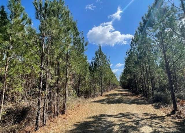 Property at 0 Union Church Rd, Newington, GA 30446