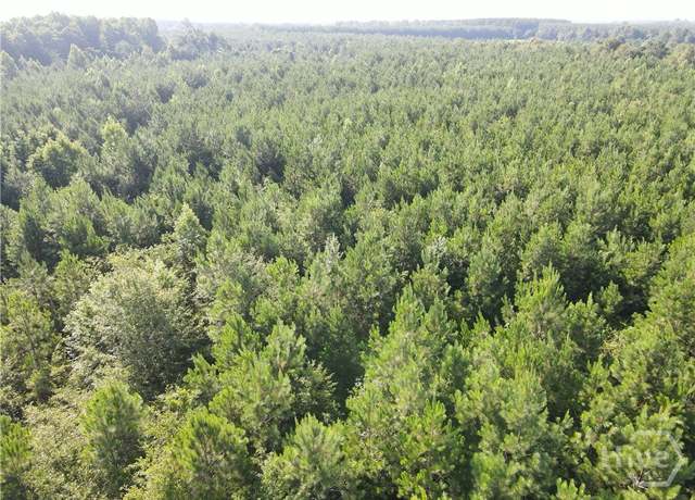 Property at 0 Indian Trail Rd, Sylvania, GA 30467