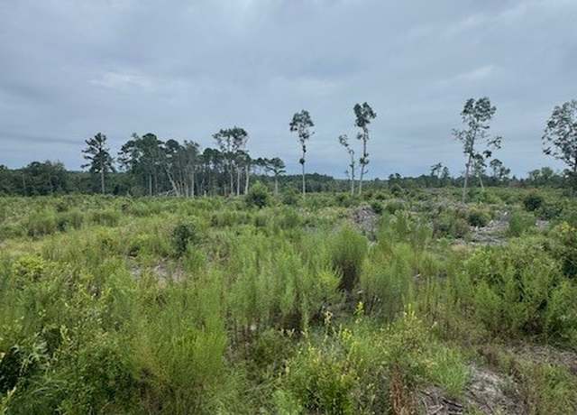 Property at 0 Kennedy Bridge Rd, Register, GA 30452