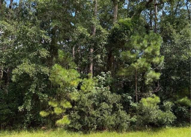 Property at 0 Pineland Rd, Midway, GA 31320