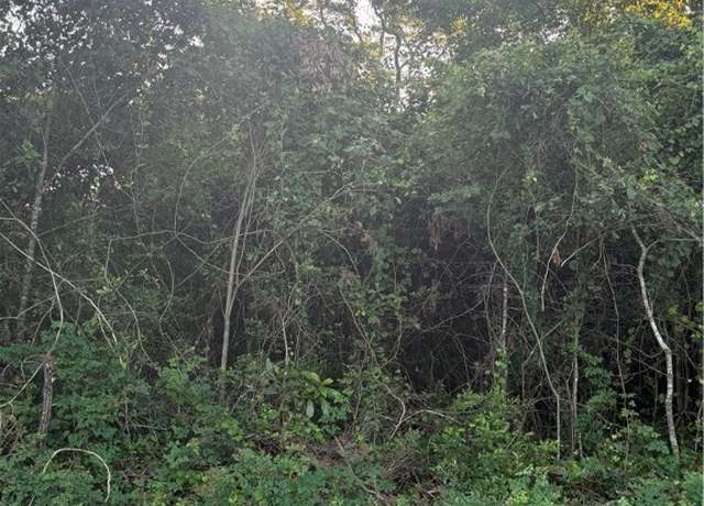 Property at 0 George Moore Rd, Statesboro, GA 30461