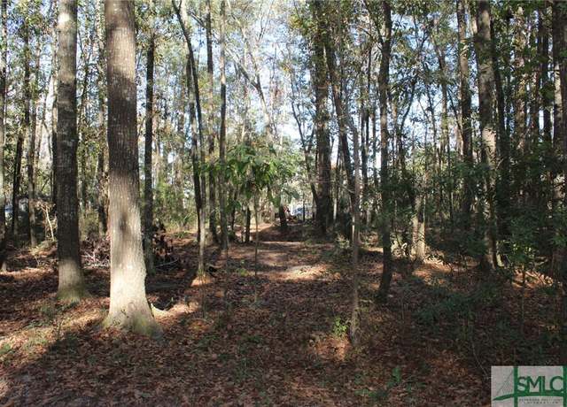 Property at Lots 76 and 77 Clark St, Midway, GA 31320